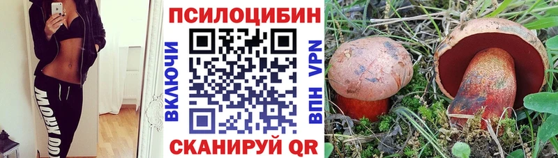 OMG ССЫЛКА Каменка Псилоцибиновые грибы Cubensis
